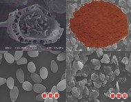 ���ӷ��Ʊ�ǰ��